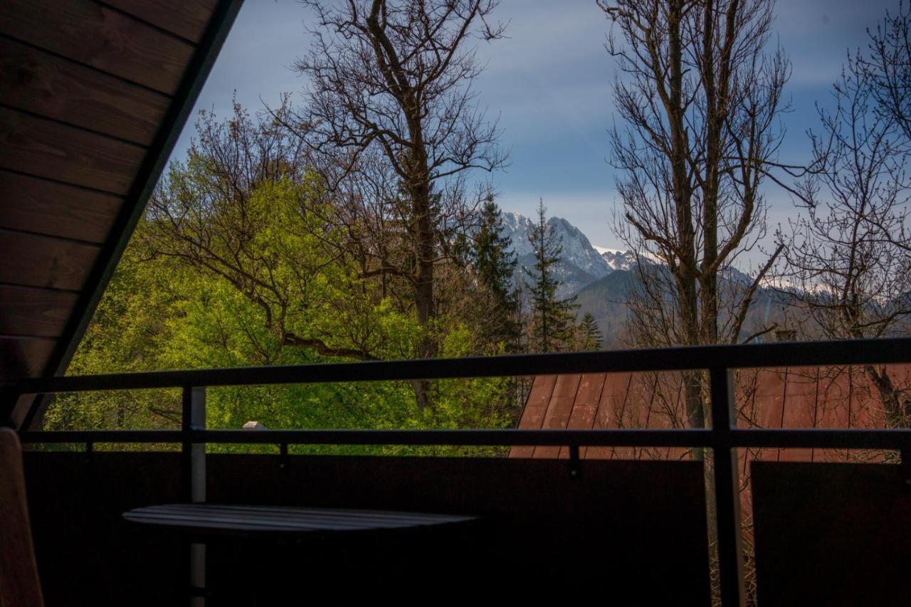 Willa Bystra Zakopane Kültér fotó